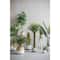 Hello Honey® White Stoneware Planters with Black Designs Set
